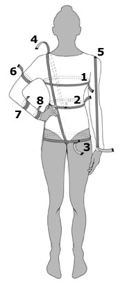 Girth Wordreference Forums